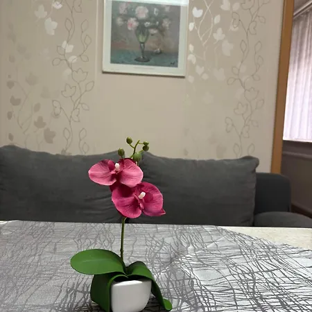 Neef Nr 6 Apartment